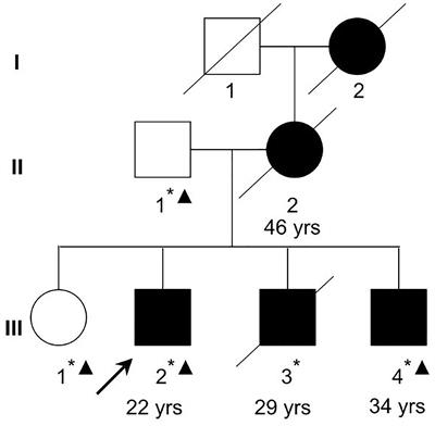 Exome Sequencing Identifies TENM4 as a Novel Candidate Gene for Schizophrenia in the SCZD2 Locus at 11q14-21